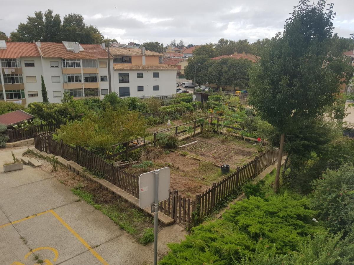 كاسكايس Pinewood Apartment المظهر الخارجي الصورة